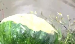 吃瓜会对牙不好吗,揭秘瓜果对牙齿的潜在危害