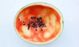 益阳吃瓜事件真相,真相与反思