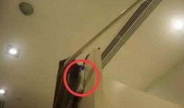 吃瓜试衣间,吃瓜群众眼中的时尚潮流