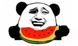 湖州吃瓜群众广告,揭秘当地美食文化盛宴