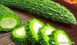 吃凉瓜的意思,探寻凉瓜的独特风味与养生之道