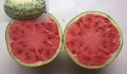 避开吃瓜,享受宁静生活