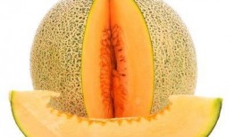 乙肝吃哈密瓜