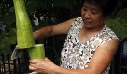 会长吃瓜一剪到底,揭秘娱乐圈幕后真相