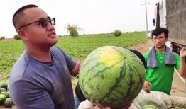 吃瓜专用照片高清,捕捉生活百态的趣味瞬间