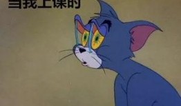 吃瓜 心情,品味生活，畅享心情