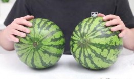 野生沙瓜怎么吃,探索自然美味的新境界