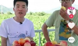 东方甄选七七吃瓜,揭秘东方甄选背后的娱乐风云