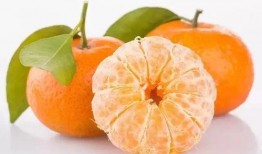 老陈吃瓜砂糖橘