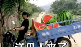 车祸吃瓜文案搞笑,吃瓜群众笑翻天！