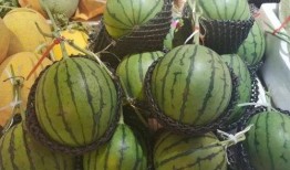 顶流吃瓜幕后,娱乐圈风云再起