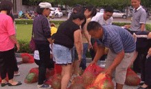 村干部吃瓜爆料,揭秘乡村里的那些事儿