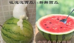 吃西瓜吐瓜米,揭秘吃西瓜吐瓜米的奇妙之旅