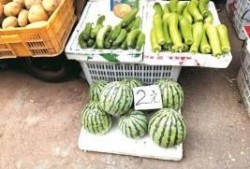 武汉吃瓜群众网站,揭秘城市生活热点，笑谈人间百态