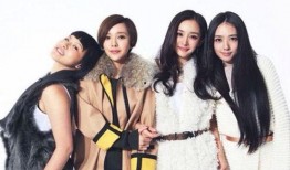 吃瓜少女赵八两,吃瓜少女的瓜界风云录