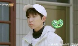 吃瓜人王源,吃瓜界的明星，揭秘娱乐圈幕后故事